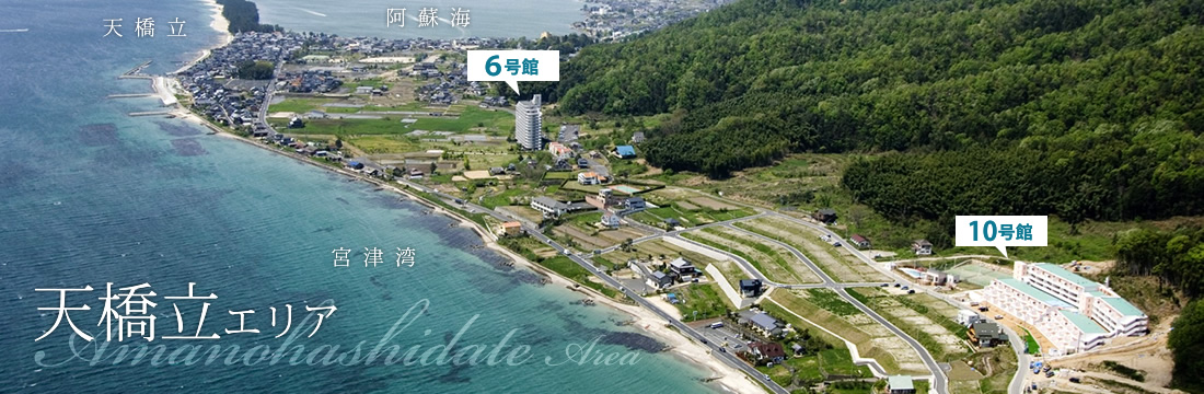 天橋立エリア