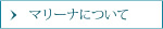 マリーナについて
