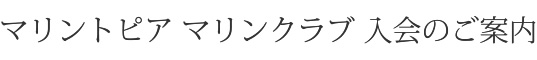 マリントピアマリーナ